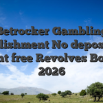 Betrocker Gambling establishment No deposit 100 percent free Revolves Bonuses 2026
