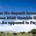 Better No deposit Incentive Casinos 2026 Gamble On the web As opposed to Paying