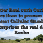 Better Real cash Casino Applications to possess 2026: Greatest Cellular Gambling enterprises the real deal Bucks