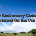 Better Real money Casinos on the internet On the Usa 2026