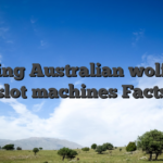 Betting Australian wolf run slot machines Facts