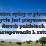 Bezplatne spiny w pierwszym depozycie jest przyznawane w dwoch pakietach nastepowaniu L sztuk