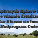 Bezplatnych Spinow Lub moze wlasnie dwadziescia piec Eur Stawac sie Icecasino Nadprogram Code