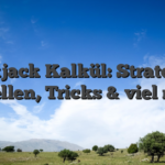 Blackjack Kalkül: Strategien, Tabellen, Tricks & viel mehr