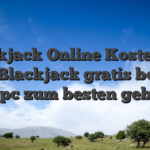Blackjack Online Kostenfrei 2026 Blackjack gratis book of ra pc zum besten geben
