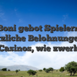 Boni gebot Spielern zusatzliche Belohnungen bei Casinos, wie  zwerk