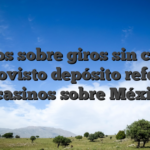 Bonos sobre giros sin cargo desprovisto depósito referente a casinos sobre México