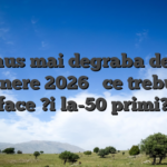 Bonus mai degraba decat depunere 2026 � ce trebuie ?i face ?i la-50 primi?