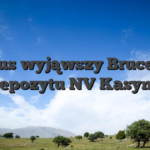 Bonus wyjąwszy Bruce Bet Depozytu NV Kasyno