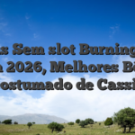 Bônus Sem slot Burning Sun Casa 2026, Melhores Bônus Acostumado de Cassino