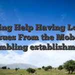 Calling Help Having Log in Issues From the Mobile Gambling establishment