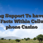 Calling Support To have Sign on Facts Within Cellular phone Casino