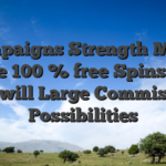 Campaigns Strength Much more 100 % free Spins and you will Large Commission Possibilities