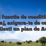 Cand functie de conditiile de rulaj, asigura-te de cand stabilesti un plan de Action