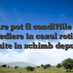 Care pot fi condi?iile de Expediere in cazul rotirilor gratuite in schimb depunere
