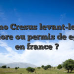 Casino Cresus levant-le mec ameliore ou permis de egayer en france ?