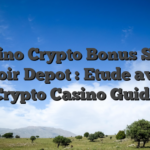 Casino Crypto Bonus Sans avoir Depot : Etude avec Crypto Casino Guide