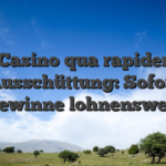 Casino qua rapider Ausschüttung: Sofort Gewinne lohnenswert