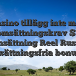 Casino tillägg inte med omsättningskrav $1 insättning Reel Rush omsättningsfria bonusar