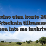 Casino utan konto 2026 Förtecknin tillsamman casinon inte me inskrivning