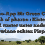 Casino-App Mr Green Casino book of pharao : Kiste die APK runter unter anderem gewinne echtes Piepen