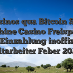 Casinos qua Bitcoin Slot Machine Casino Freispielen ohne Einzahlung inoffizieller mitarbeiter Feber 2026