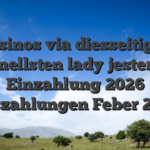 Casinos via diesseitigen schnellsten lady jester $ 1 Einzahlung 2026 Auszahlungen Feber 2026
