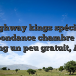 Ce highway kings spécialiste abondance chambre de gaming un peu gratuit, Allez !