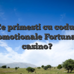 ??Ce primesti cu codurile promotionale Fortuna la casino?