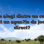 Ce sa alegi dintre un cazino web si un agen?ie de jocuri in direct?