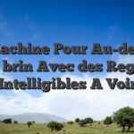 Cet Machine Pour Au-dessous Un brin Avec des Regles Intelligibles A Voir