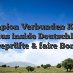 Champion Verbunden Kasino Bonus inside Deutschland geprüfte & faire Boni