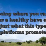 Choosing where you can put means a healthy have a look at just what this type of platforms promote