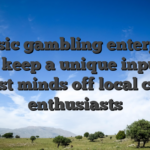 Classic gambling enterprise ports keep a unique input the newest minds off local casino enthusiasts