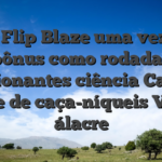 Coin Flip Blaze uma vez que bônus como rodadas emocionantes ciência Cassino online de caça-níqueis Viking álacre