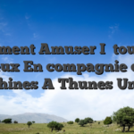 Comment Amuser I� tous les Jeux En compagnie de Machines A Thunes Un peu