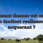 Comment donner cet casino un tantinet reellement acquerant ?