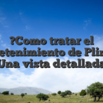 ?Como tratar el entretenimiento de Plinko? Una vista detallada