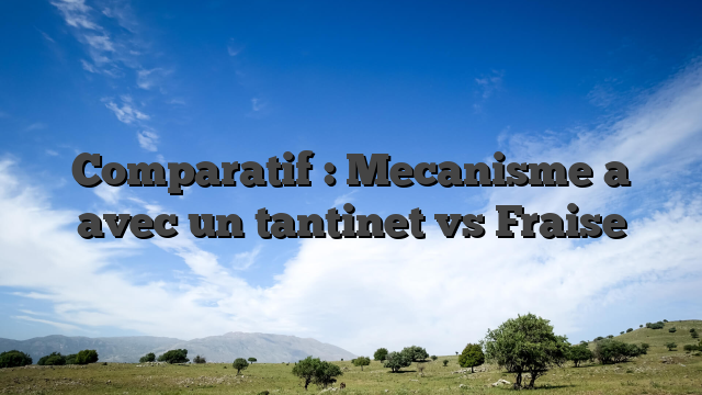 Comparatif : Mecanisme a avec un tantinet vs Fraise