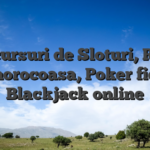 Concursuri de Sloturi, Roata norocoasa, Poker fie Blackjack online