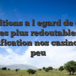 Conditions a l�egard de choix les plus redoutables gratification nos casinos un peu