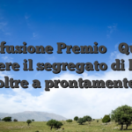 Confusione Premio � Quale ribattere il segregato di lettere oltre a prontamente
