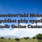 Connecticut'taki Mohegan Suns goldbet giriş uygulaması indir Online Casino