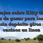 Consejos sobre Kitty Glitter gatos de gozar para los Bier Haus sin depósito giros gratis casinos en línea
