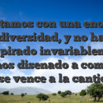 Contamos con una enorme diversidad, y no ha transpirado invariablemente hemos disenado a como es clase vence a la cantidad