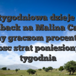 Cotygodniowa dzieje sie cashback na Malina Casino cechy graczom procentowy platnosc strat poniesionych w tygodnia