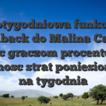 Cotygodniowa funkcja cashback do Malina Casino miec graczom procentowy platnosc strat poniesionych na tygodnia