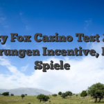 Crazy Fox Casino Test 2026 Erfahrungen Incentive, Rules, Spiele