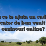 Cu ce te ajuta un cadou jucator de bun venit la cazinouri online?