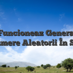 Cân Funcioneaz Generatorul De Numere Aleatorii În Sloturi